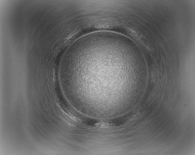 X0000052580211200507081736