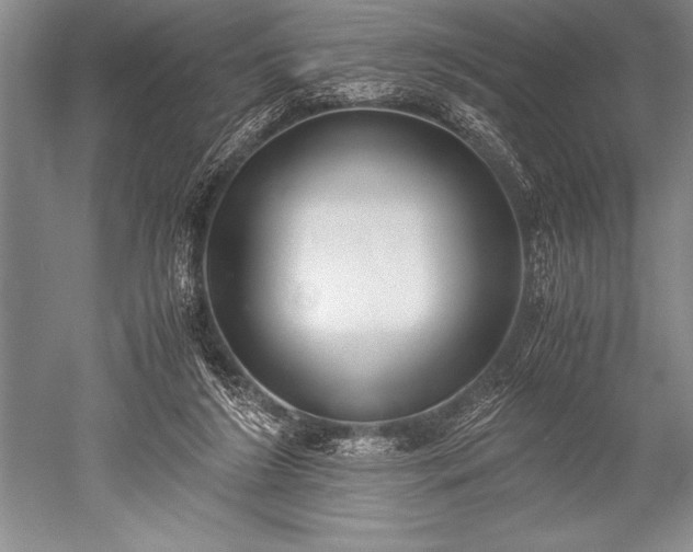 X0000052580212200507081736