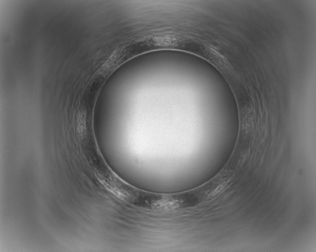 X0000052580213200507081736