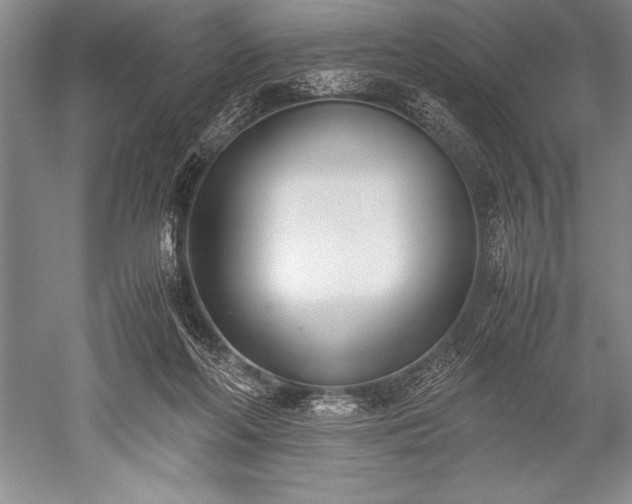 X0000052580214200507081736