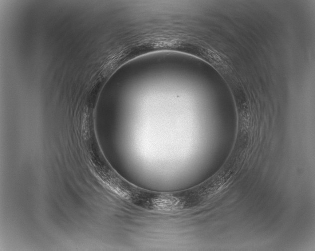 X0000052580215200507081736