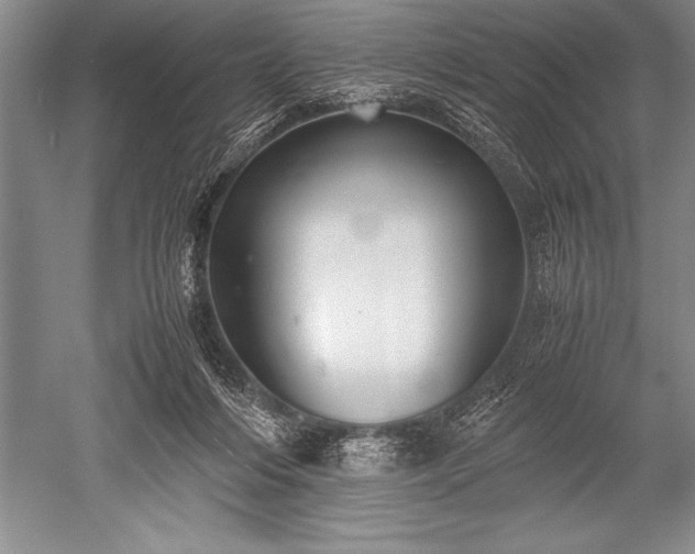 X0000052580216200507081736