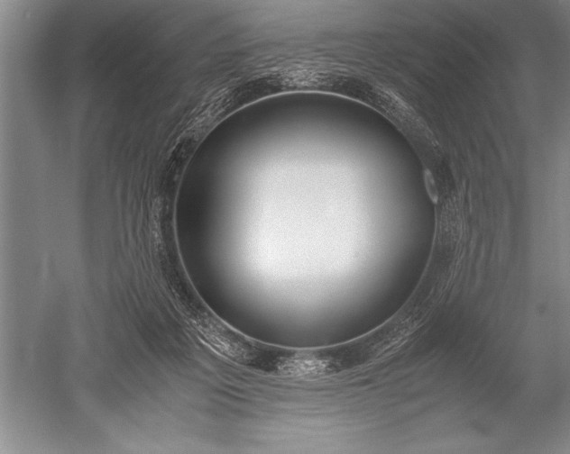 X0000052580217200507081736