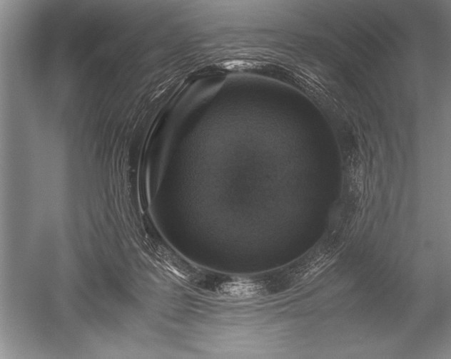 X0000052580219200507081736