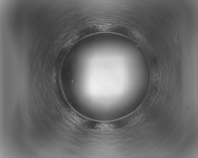 X0000052580221200507081736