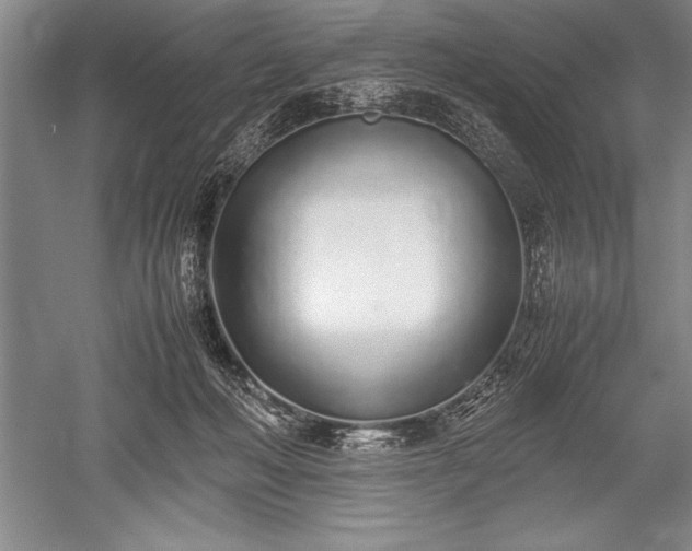 X0000052580222200507081736