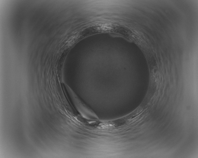 X0000052580223200507081736