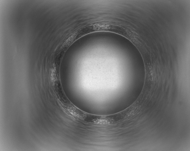 X0000052580224200507081736