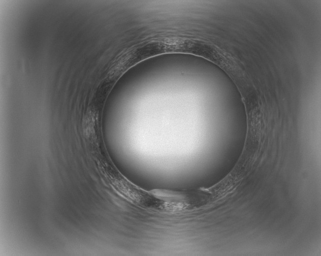 X0000052580225200507081736