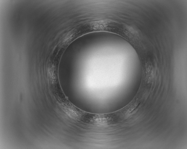 X0000052580228200507081736