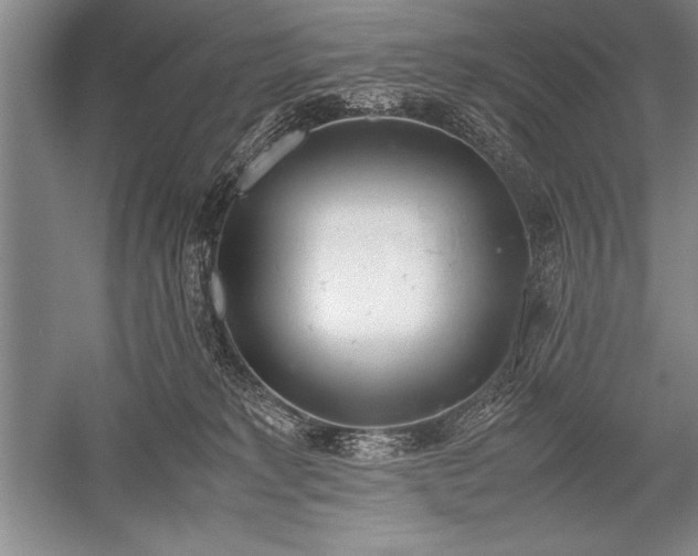 X0000052580229200507081736