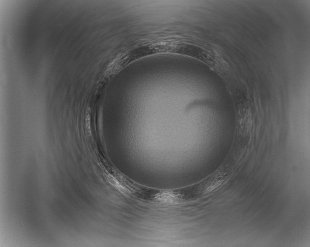 X0000052580231200507081736