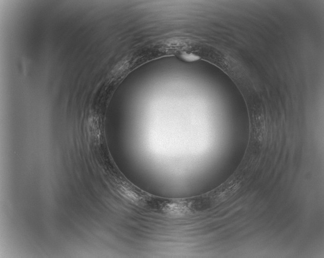 X0000052580232200507081736