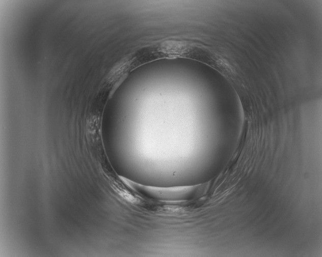 X0000052580237200507081736