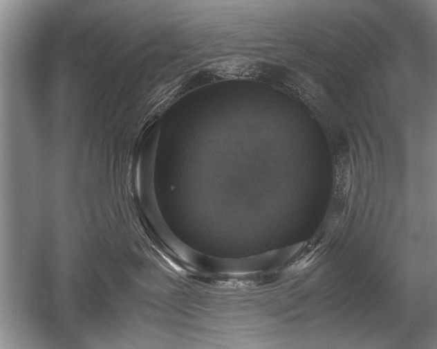 X0000052580239200507081736