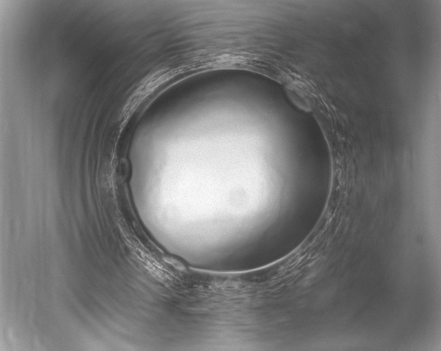 X0000052580242200507081735