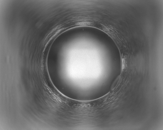 X0000052580243200507081735