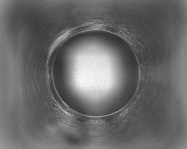 X0000052580245200507081735