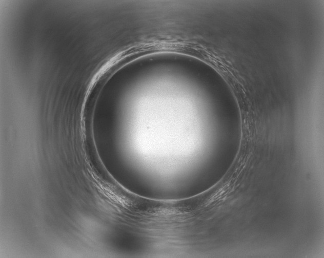 X0000052580246200507081735