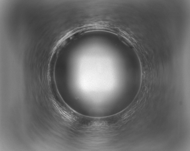 X0000052580248200507081735