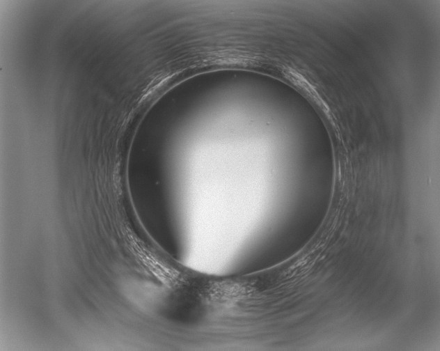 X0000052580249200507081735