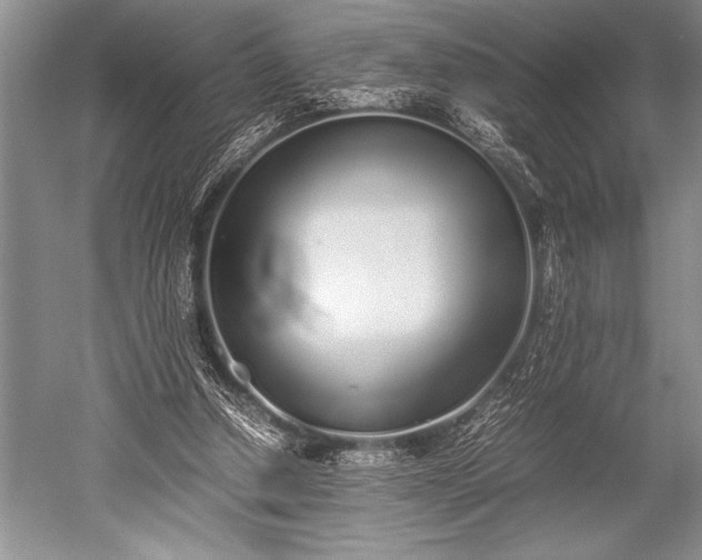 X0000052580250200507081735