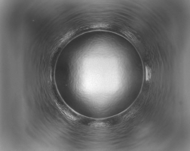 X0000052580253200507081735