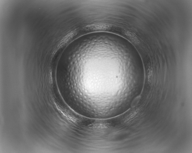 X0000052580254200507081735