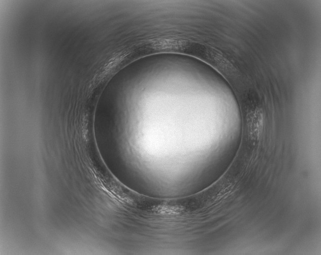 X0000052580255200507081735