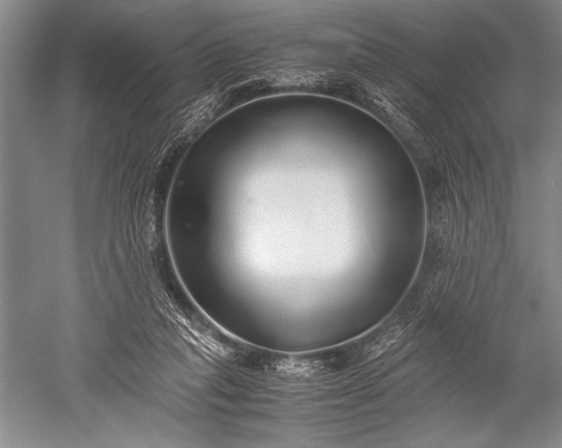 X0000052580261200507081735