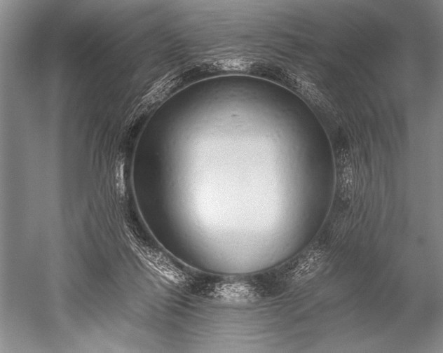 X0000052580262200507081735
