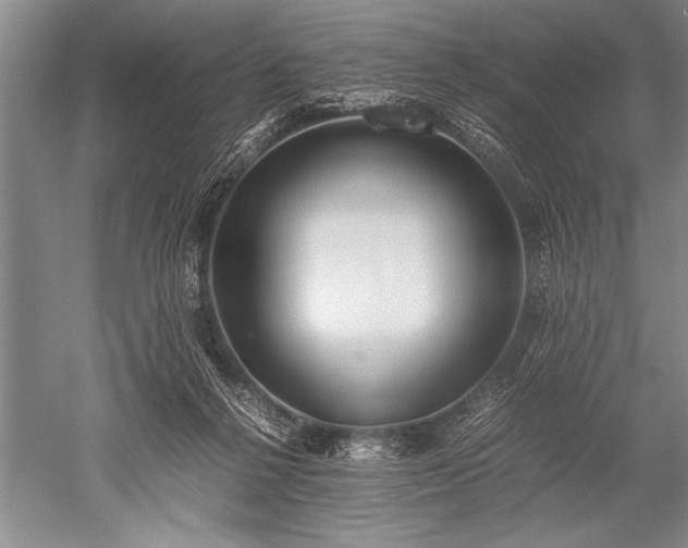 X0000052580264200507081736