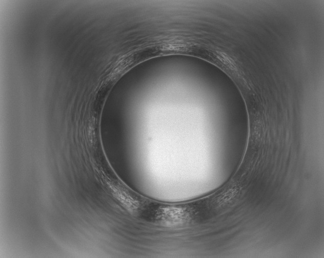 X0000052580265200507081736