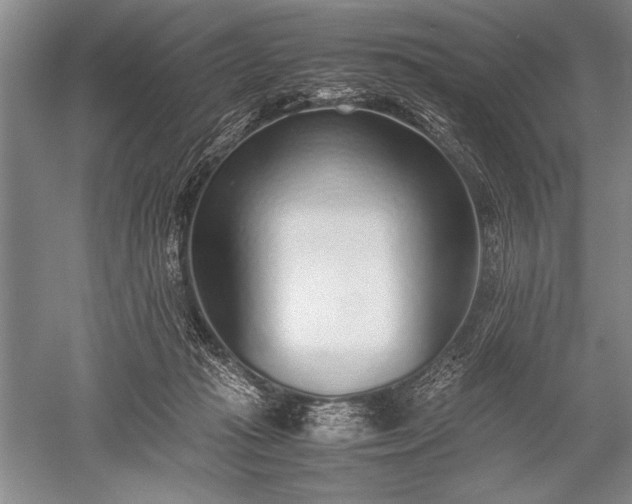 X0000052580269200507081736