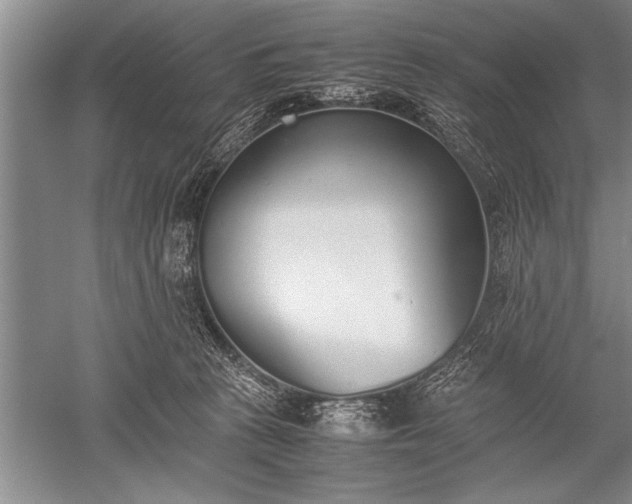 X0000052580273200507081736
