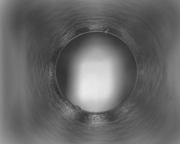 X0000052580277200507081736