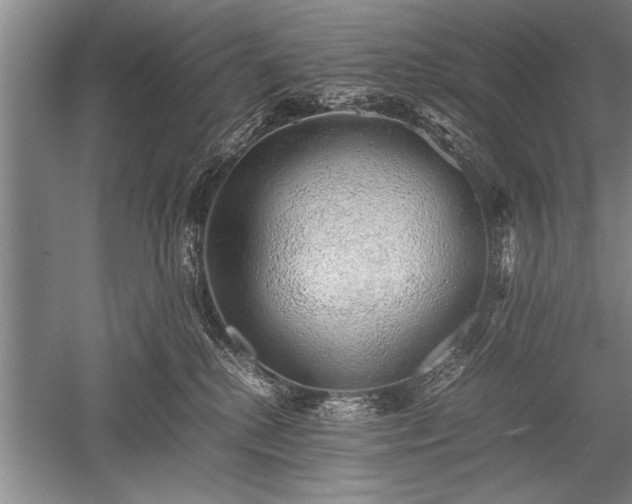 X0000052580280200507081736