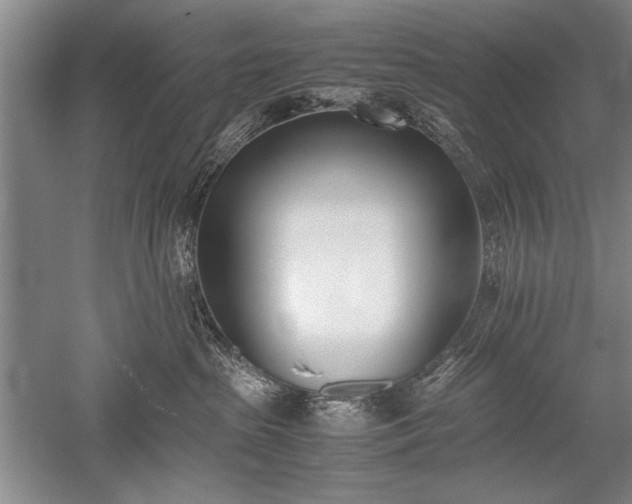 X0000052580285200507081736