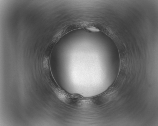 X0000052580286200507081736