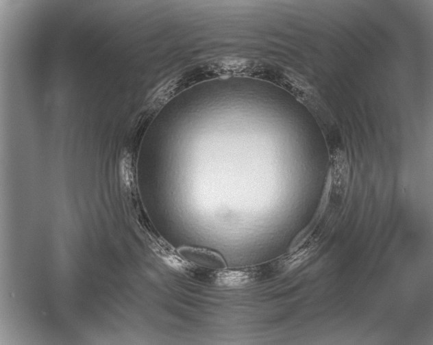 X0000052580287200507081736