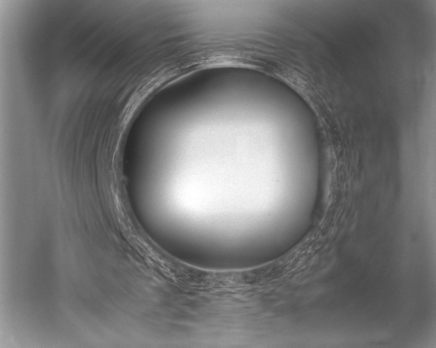 X0000052580289200507081735