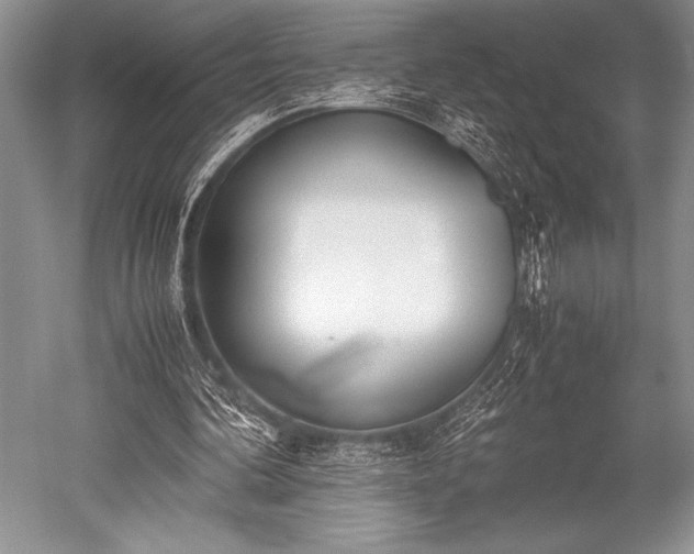 X0000052580292200507081735