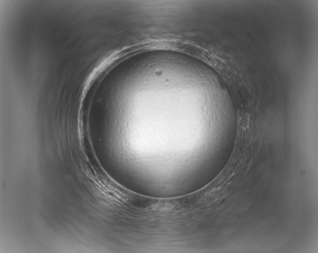 X0000052580294200507081735