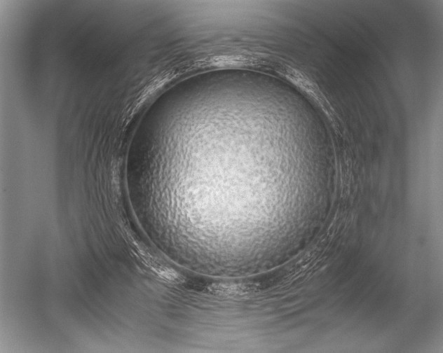 X0000052580297200507081735