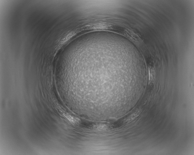 X0000052580301200507081735