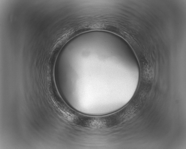 X0000052580303200507081735