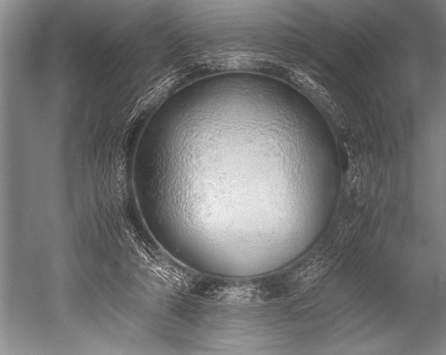 X0000052580306200507081735
