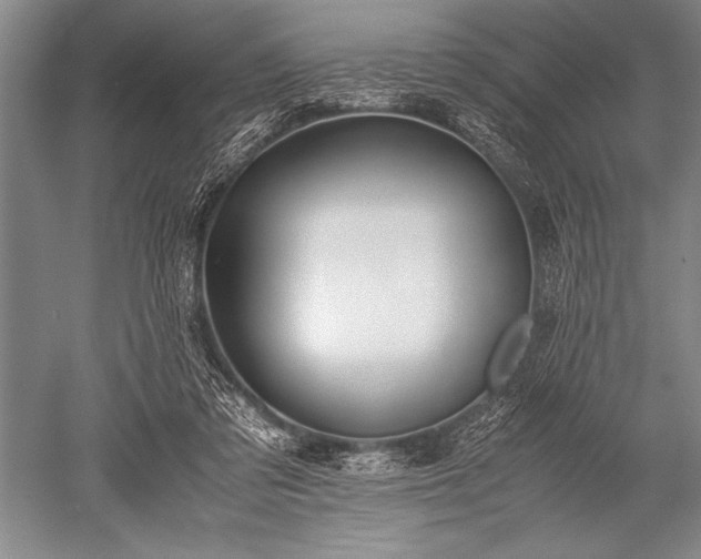 X0000052580309200507081735