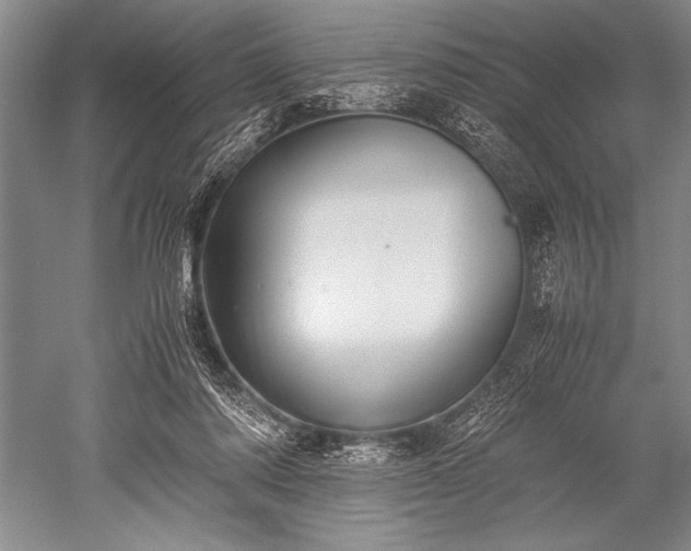 X0000052580310200507081735