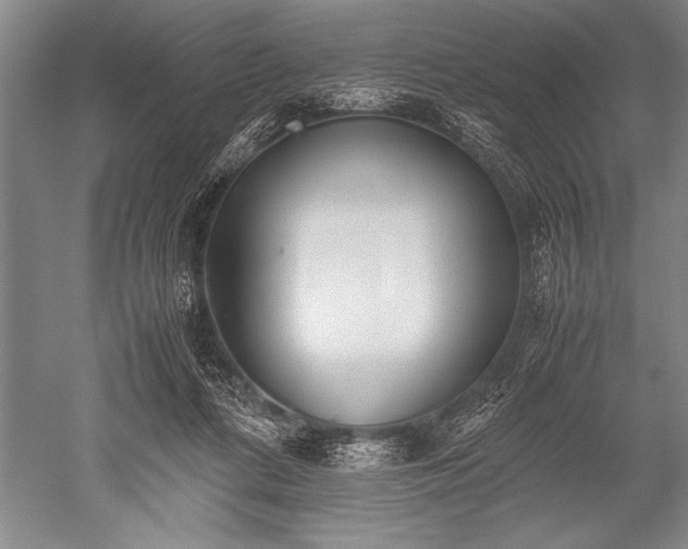X0000052580312200507081735